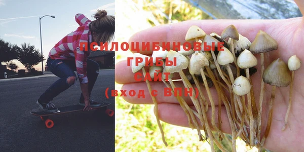 шишки Зеленодольск