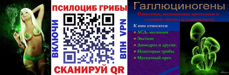 Купить  Канаш  Галлюциногенные грибы GOLDEN TEACHER 
